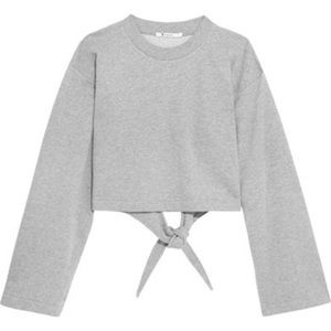 Alexander Wang Gray Crew Neck Sweater